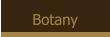 IdHAIR Botany Pflanzenhaarfarbe